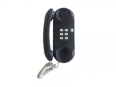 4FP 211 23.212 - ESO home phone, 2-BUS, anthracite
